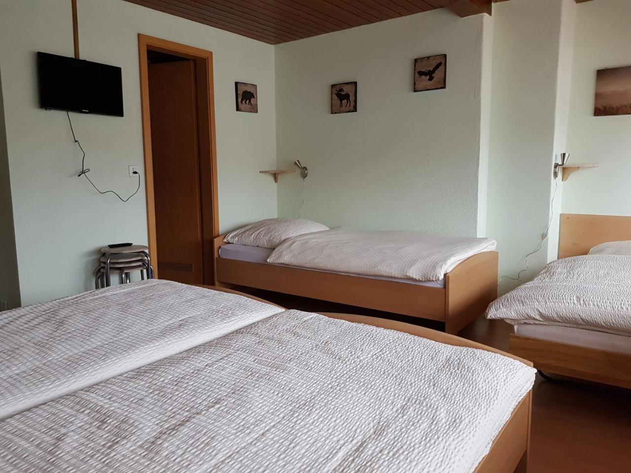 Garni-Hotel Muehletal Штайн-на-Рейне Экстерьер фото