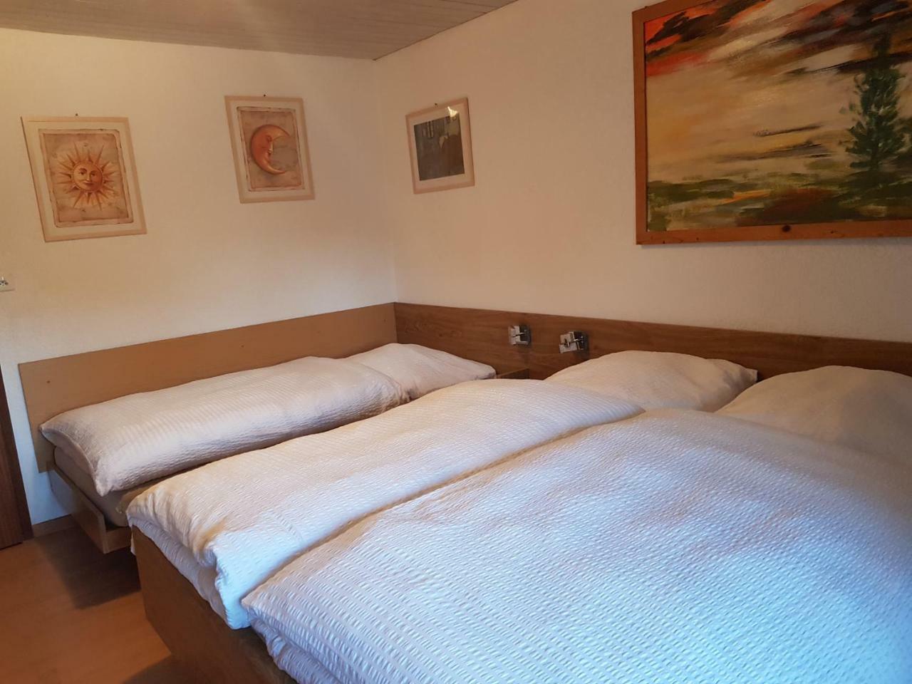 Garni-Hotel Muehletal Штайн-на-Рейне Экстерьер фото