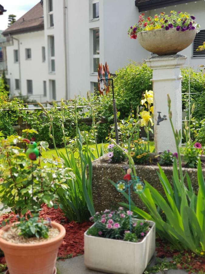 Garni-Hotel Muehletal Штайн-на-Рейне Экстерьер фото